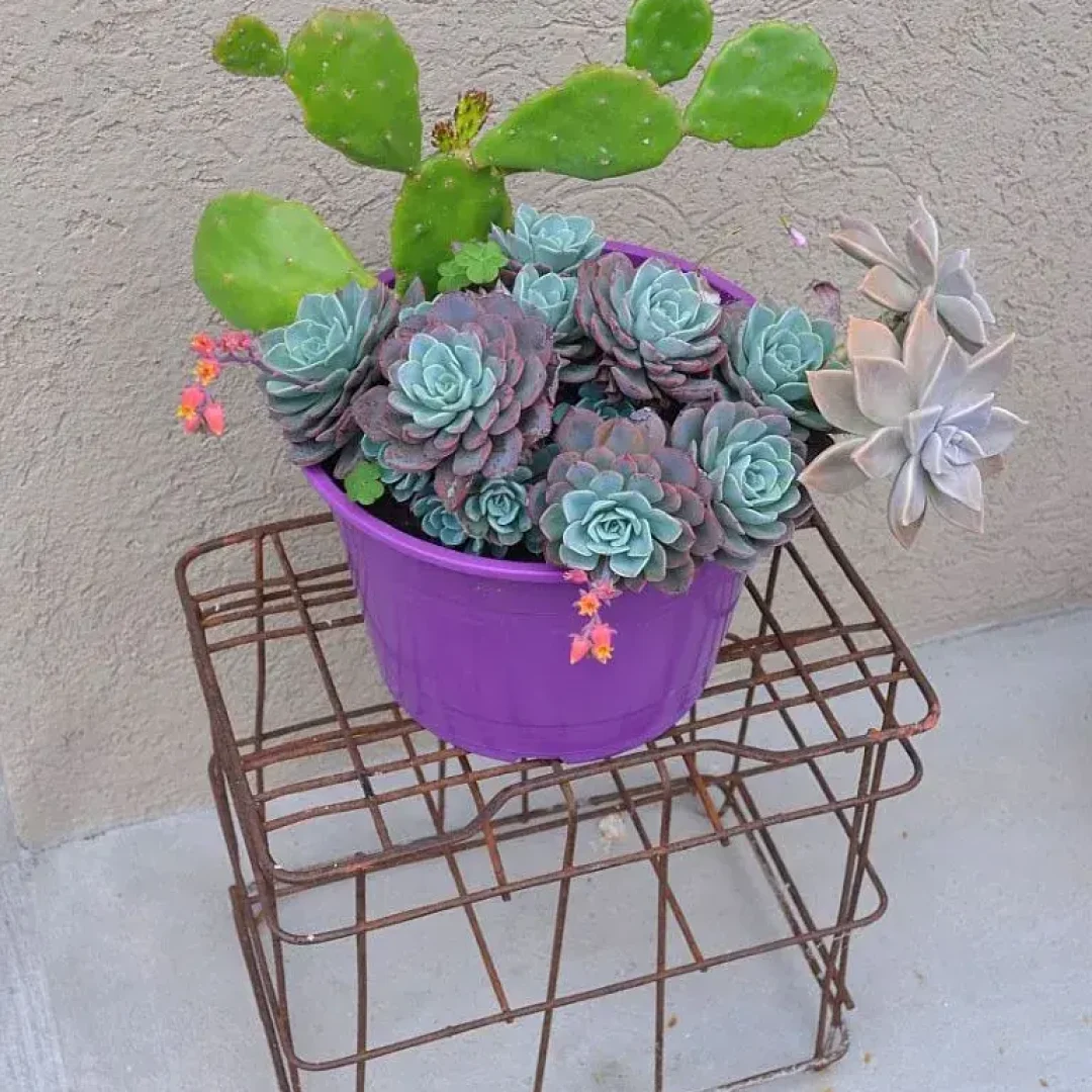 Alojamiento en urdinarrain - glak apart - hotel en urdinarrain - descanso - con piscina (3)