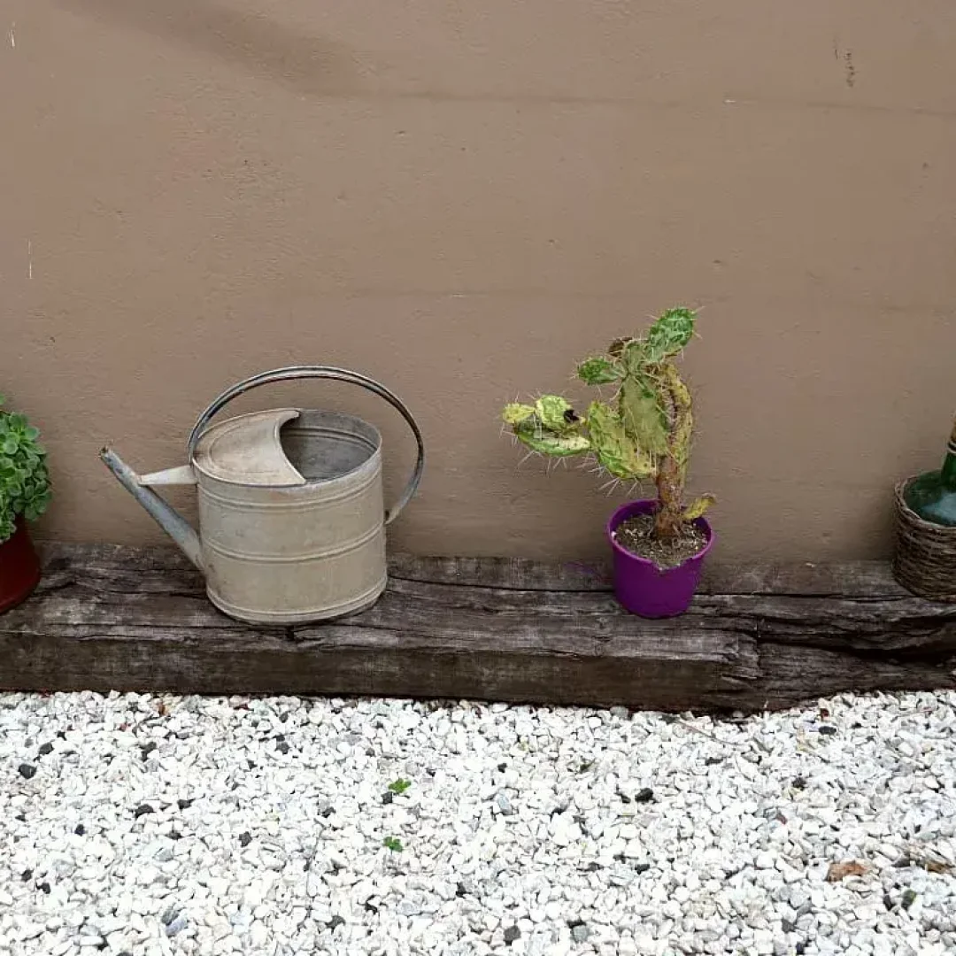 Alojamiento en urdinarrain - glak apart - hotel en urdinarrain - descanso - con piscina (5)